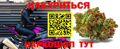 прущие грибы Первоуральск